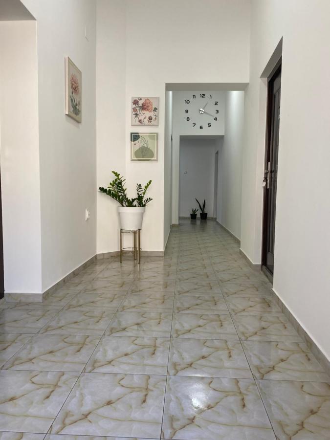 Lotus House Lägenhet Zrenjanin Exteriör bild