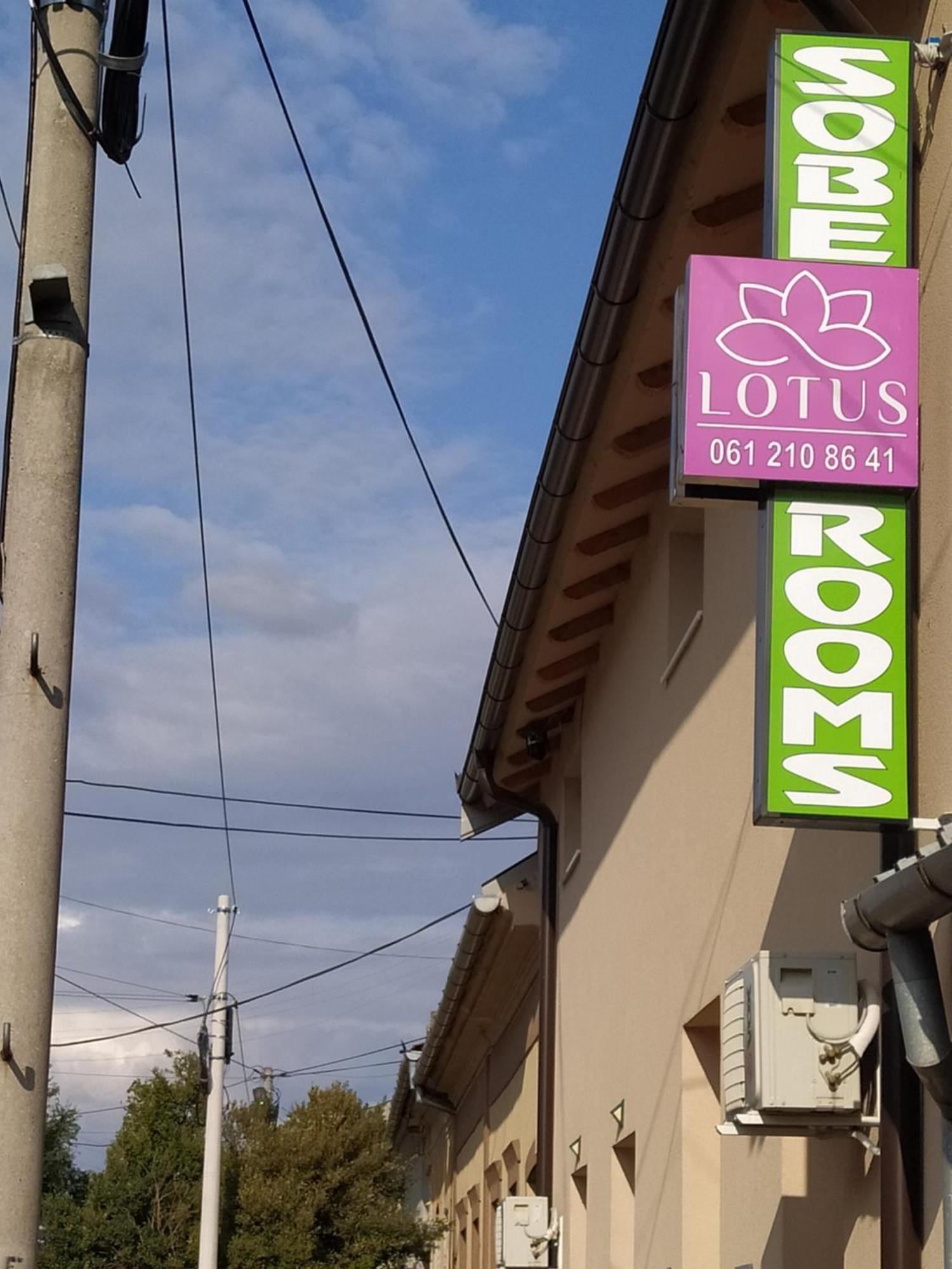 Lotus House Lägenhet Zrenjanin Exteriör bild